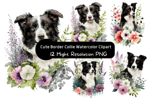 Charming Border Collie Watercolor Clipart for Creative Projects
