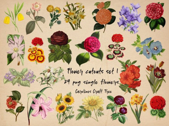 Flowers Set 1: A Junk Journaler's Instant Botanical Garden
