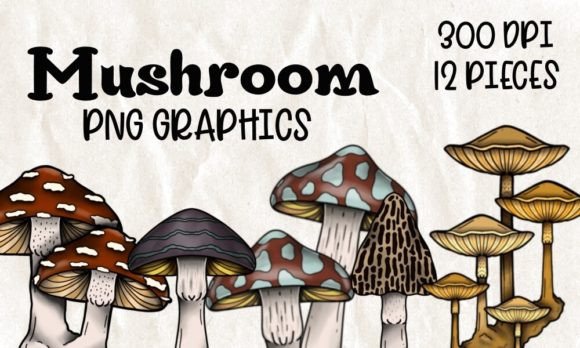 Mushrooms 12 P. PNG Graphic Set: Your Next Favorite Design Asset
